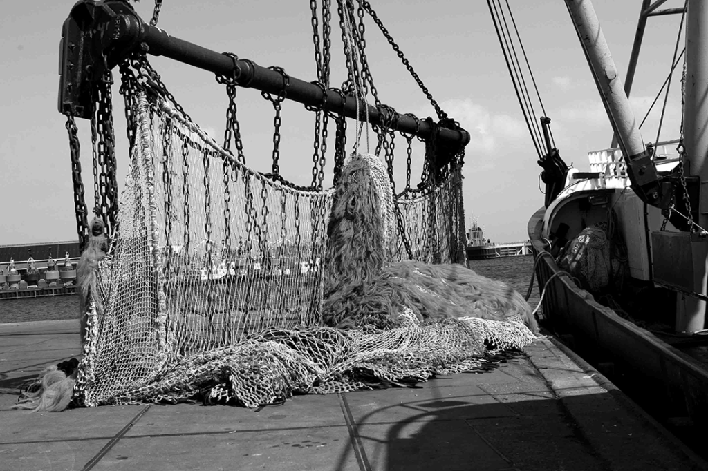 IMG_3317a_lowres vls haven